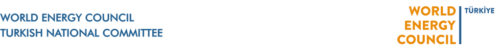 World Energy Council | Turkey